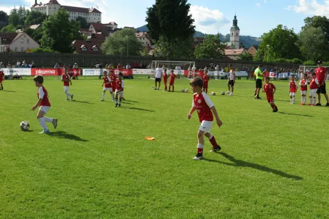 Mladi iz Slovenije in tujine so igrali na zelenici v Puštalu. / Foto: Vilma Stanovnik