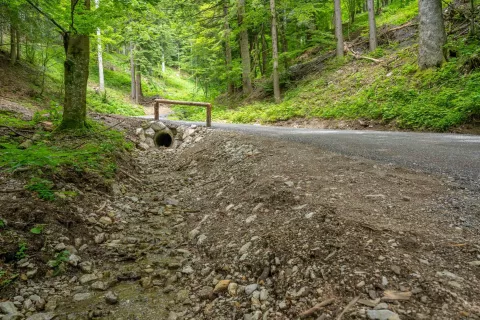 Nova cesta proti Planina Planinca - Dolina Draga - Begunje na Gorenjskem - Občina Radovljica / Foto: Nik Bertoncelj