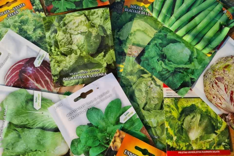 Inšpekcija je pri četrtini odvzetih vzorcev semena ugotovila slabo kalivost. Slika je simbolična. / Foto: Cveto Zaplotnik