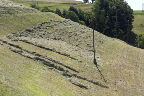Kmetje vsako leto uveljavljajo plačila tudi za kmetovanje na hribovskih območjih. / Foto: Cveto Zaplotnik