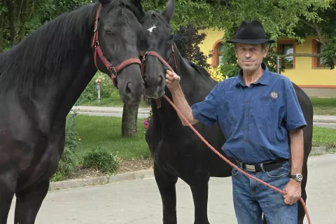 Tone Pavlin, pasma konj, madžarska avtohtona nonius / Foto: Alenka Brun