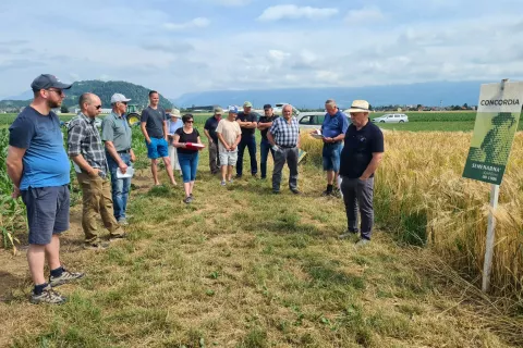 Kmetje in drugi udeleženci ob ogledu poskusa z ozimnimi žiti / Foto: Cveto Zaplotnik