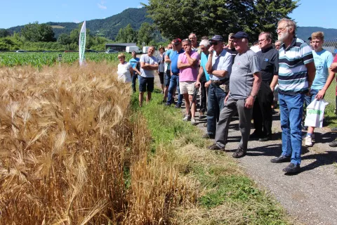 Agrosaatov dan polja na Polici je vedno dobro obiskan. / Foto: Cveto Zaplotnik