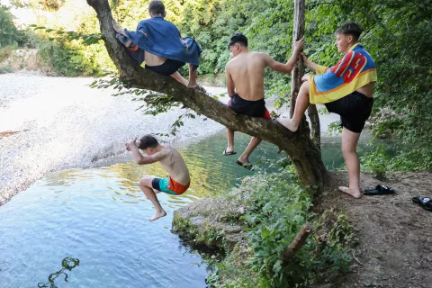 poletje, voda, vročina, živali, pes, ohladitev Kokra / Foto: Tina Dokl