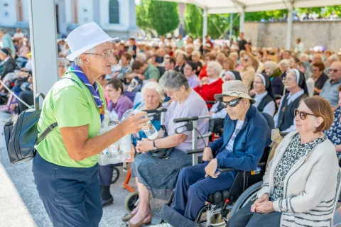 Romanje bolnikov invalidov in starejših na Brezje / Foto: Nik Bertoncelj