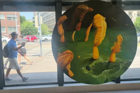 Barbara Kastelec: Pennatulacea/Urospermum Picroides (Asteraceae), 2016, akril na platnu / Foto: Igor Kavčič