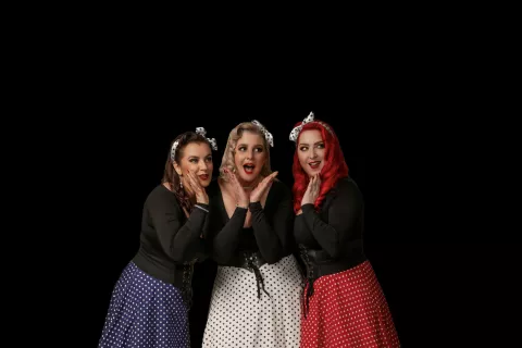 LadyBugz nas bodo popeljali nazaj v štirideseta prejšnjega stoletja. / Foto: Arhiv Ladybugz