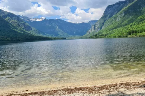 Na območju Bohinjskega jezera bodo izvajali nadzor nad lastniki psov. / Foto: Marjana Ahačič