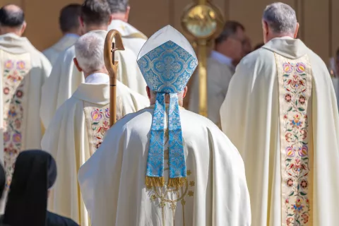 Romanje bolnikov invalidov in starejših na BrezjeNa fotografiji Koprski škof msgr. dr. Peter Štumpf / Foto: Nik Bertoncelj