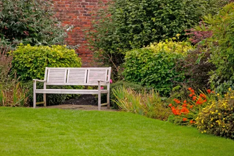 Glasno branje v Hortikulturnem vrtu / Foto: Freepik