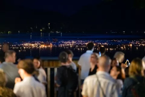 Lučke na Blejskem jezeru / Foto: Nik Bertoncelj