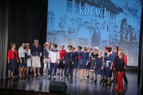 obrti nekdaj v Tržiču večer Društva plesalk v tretjem življenjskem obdobju v KD / Foto: Tina Dokl