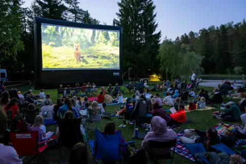 Poletni kino Radovljica kino na prostemProjekcija filma Valovanje, animirani filmKino Radolca / Foto: Nik Bertoncelj