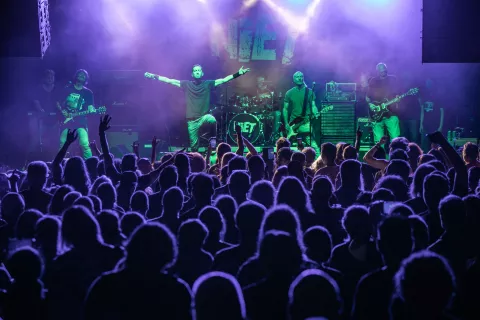 Glas upora, ki že desetletja povezuje generacije: Niet na odru SubArta / Foto: Matic Zorman