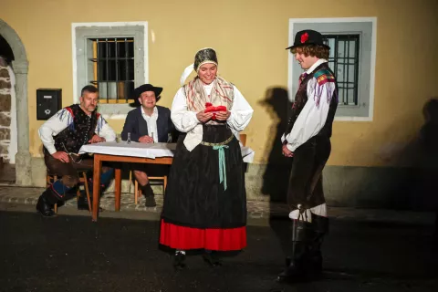 Vasovanje tradicionalna bohinjska prireditev Srednja vas Bohinj 2025 / Foto: Tina Dokl