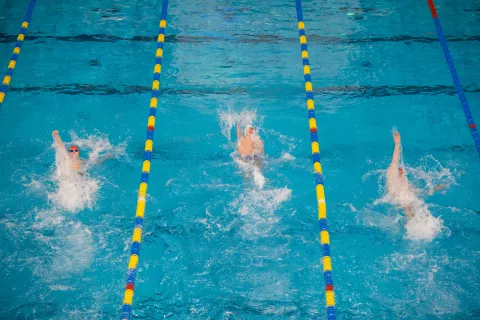 26. MEDNARODNO PLAVALNO TEKMOVANJE BOŠTJANOV "DR. FIG" / Foto: Primož Pičulin