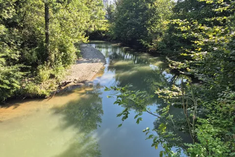 Sel&scaron;ka Sora pri Ve&scaron;tru ima povi&scaron;ano &scaron;tevilo bakterij.&nbsp;/ Foto: Vilma Stanovnik
