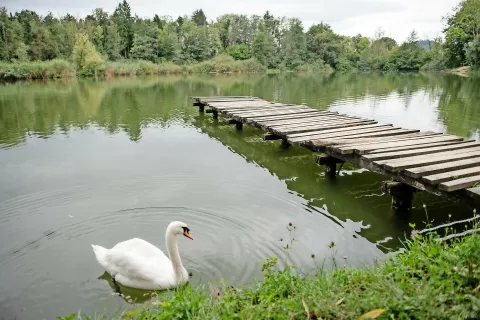 Čukova jama na Bobovku / Foto: Primož Pičulin, arhiv GG