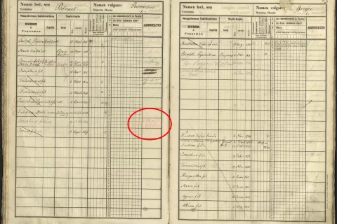 Posnetek zaslona, kjer se vidi ime Josip Paulin in plemiški naziv 'vitezt' obkroženo z rdečo. / Foto: Arhiv Nadskofijskega Arhiva