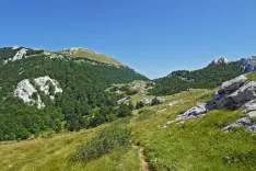 Proti zavetišču Šugarska Duliba. Vrh v ozadju je Veliki Stolac. / Foto: Jelena Justin