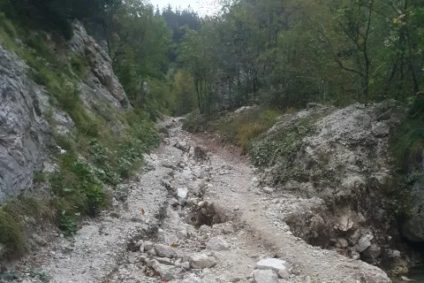 Predlanske poplave so poškodovale tudi številne gozdne ceste na Gorenjskem. / Foto: Arhiv Zgs