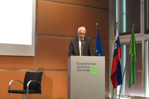 GZS, pokojninska reforma, Mitja Gorenšček / Foto: Ana Jagodic Dolžan