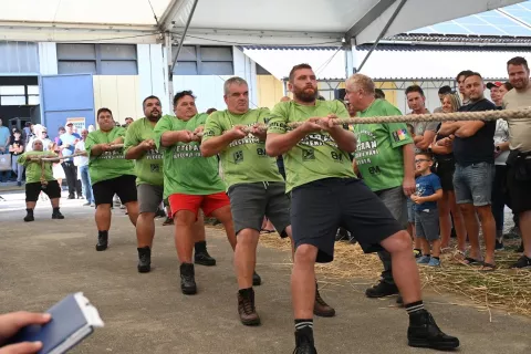 Veterani Zgornje Gorenjske med akcijo / Foto: Foto: Zauneker