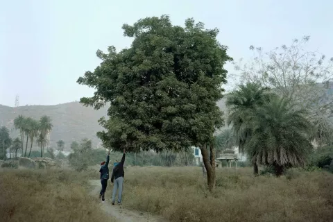 Balázs Turós (Madžarska): projekt Narava stvari / Foto: Balázs Turós