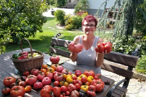 Martina Lavrenčič z bero sočnega pridelka / Foto: osebni arhiv