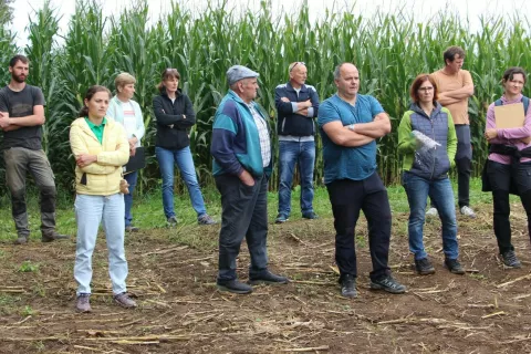 Kmetje in drugi udeleženci ob ogledu poskusa s koruznimi hibridi na Žabniškem polju / Foto: Cveto Zaplotnik