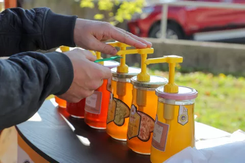 Festival medu in Dan medu v kulinariki 2024 / Foto: Tina Dokl