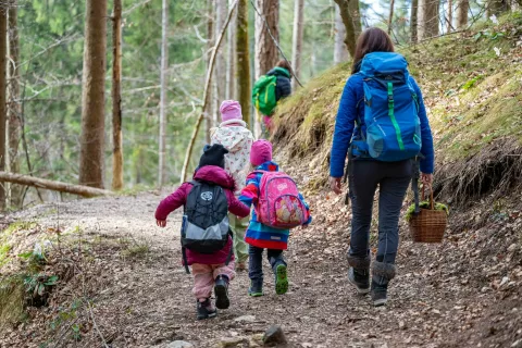 Coprnije gozda Kranjska Gora - dejavnosti za otroke v naravi v Kranjski Gori / Foto: Nik Bertoncelj
