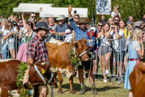 66. Kravji bal Bohinj / Foto: Nik Bertoncelj