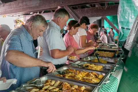 Na degustaciji je bilo možno poskusiti okoli dvajset različnih zeljnih jedi. / Foto: Simon Benedičič