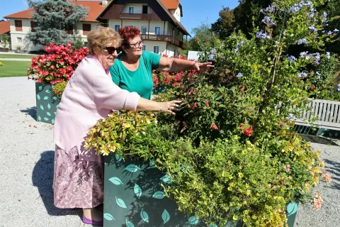 Na poti obiskovalce čaka tudi labirint visokih gred. / Foto: Tina Dokl