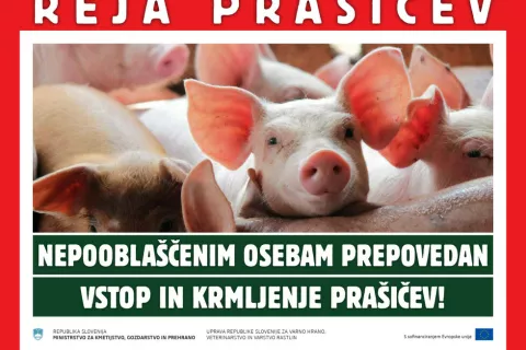 Biovarnostni ukrepi med drugim omejujejo nepooblaščenim osebam dostop in krmljenje prašičev. / Foto: Mkgp
