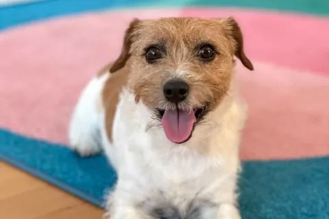 Fotografija je simbolična. / Foto: Tina Dokl