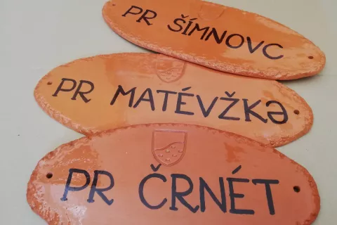 O izvoru in pomenu hi&scaron;nih imen