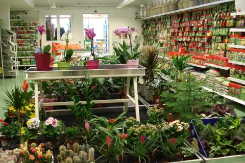 Kmetijska zadruga Medvode ima eno od trgovin tudi v Medvodah. / Foto: Cveto Zaplotnik