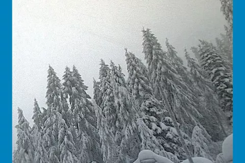 Zelenica, sneženje / Foto: Arso