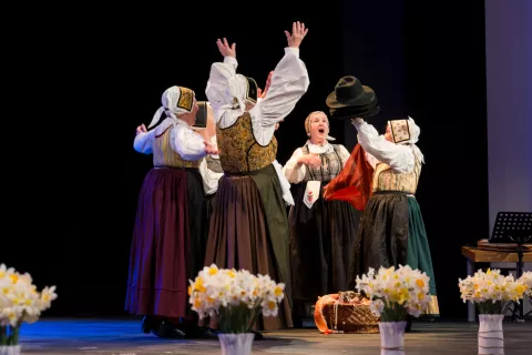 15. večer folklore in 20. obletnica folklore v Cerkljah, Folklorna skupina Cerklje / Foto: Primož Pičulin