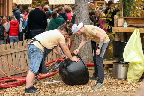 kostanjev piknik 2025 Besnica / Foto: Tina Dokl