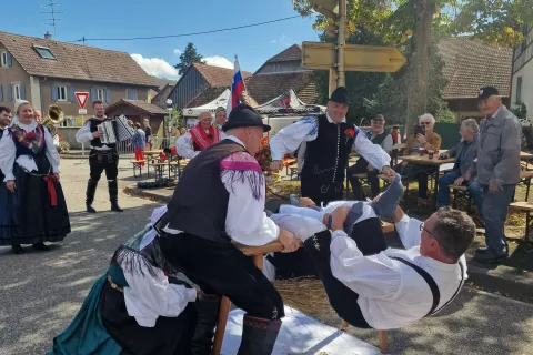 FD Preddvor, gostovanje Alzacija / Foto: Fd Preddvor