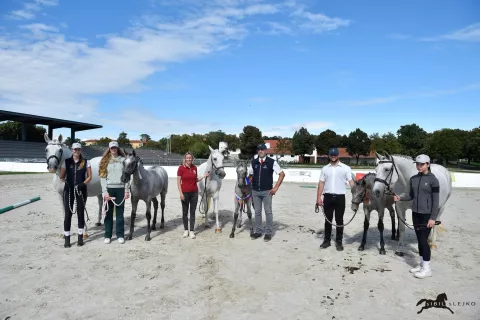 Najlep&scaron;e žrebičke so iz Peternelovega hleva