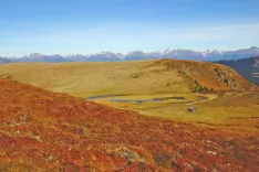 Širna pobočja v Nockbergih se jeseni obarvajo rdeče. Zakaj? Grmičevje, na katerem rastejo brusnice, namreč postane rdeče. S kančkom sreče se oktobra brusnic lahko tudi najemo. / Foto: Jelena Justin