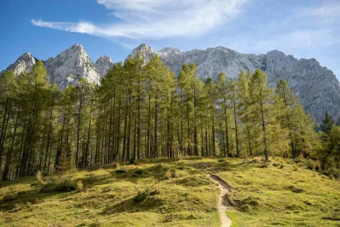 Simbolična fotografija občina Kranjska Gora. / Foto: Nik Bertoncelj