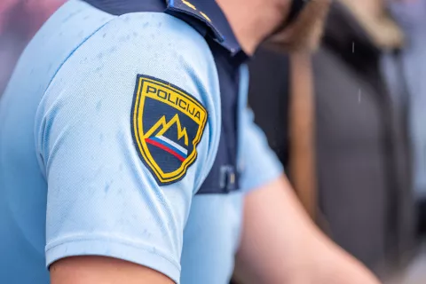 Simbolična fotografija Policija / Foto: Nik Bertoncelj