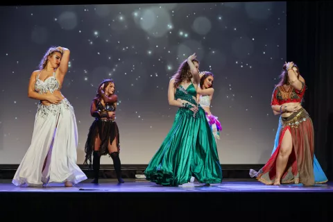 Leyli večer V pravljici KUD Leyli Tržič / Foto: Tina Dokl