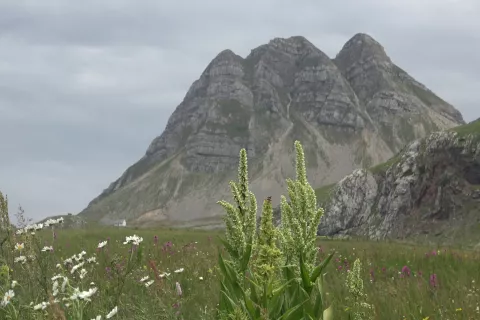 Lukavica z goro Mali Žurim v ozadju / Foto: Andrej Primc