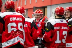 Hokejska tekma HDD Jesenice proti EC Red Bull Salzburg / Foto: Nik Bertoncelj